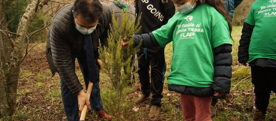Conmemoramos El Día Mundial Del Árbol Junto A Estudiantes De Melipeuco