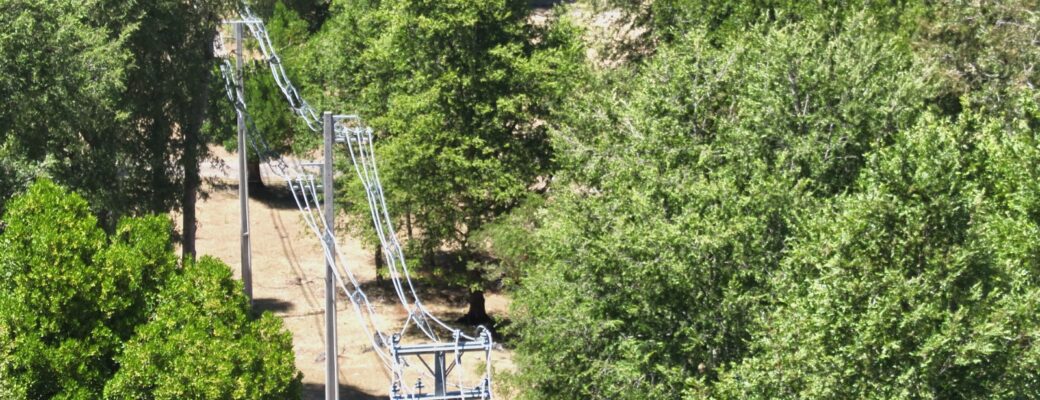 Finaliza Con éxito Temporada De Mantenimientos Forestales De CMA